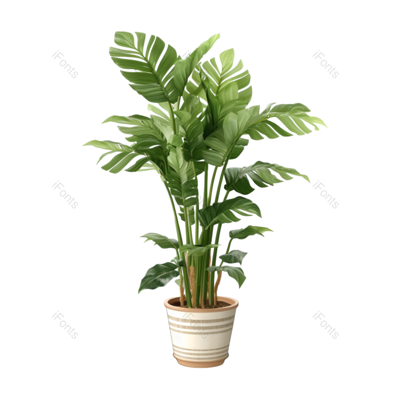 绿叶图片,沙发元素,绿植PNG,盆栽免抠素材